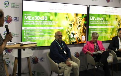 Mexico celebrates the launch of MEx30x30 at COP16, a key project for biodiversity conservation