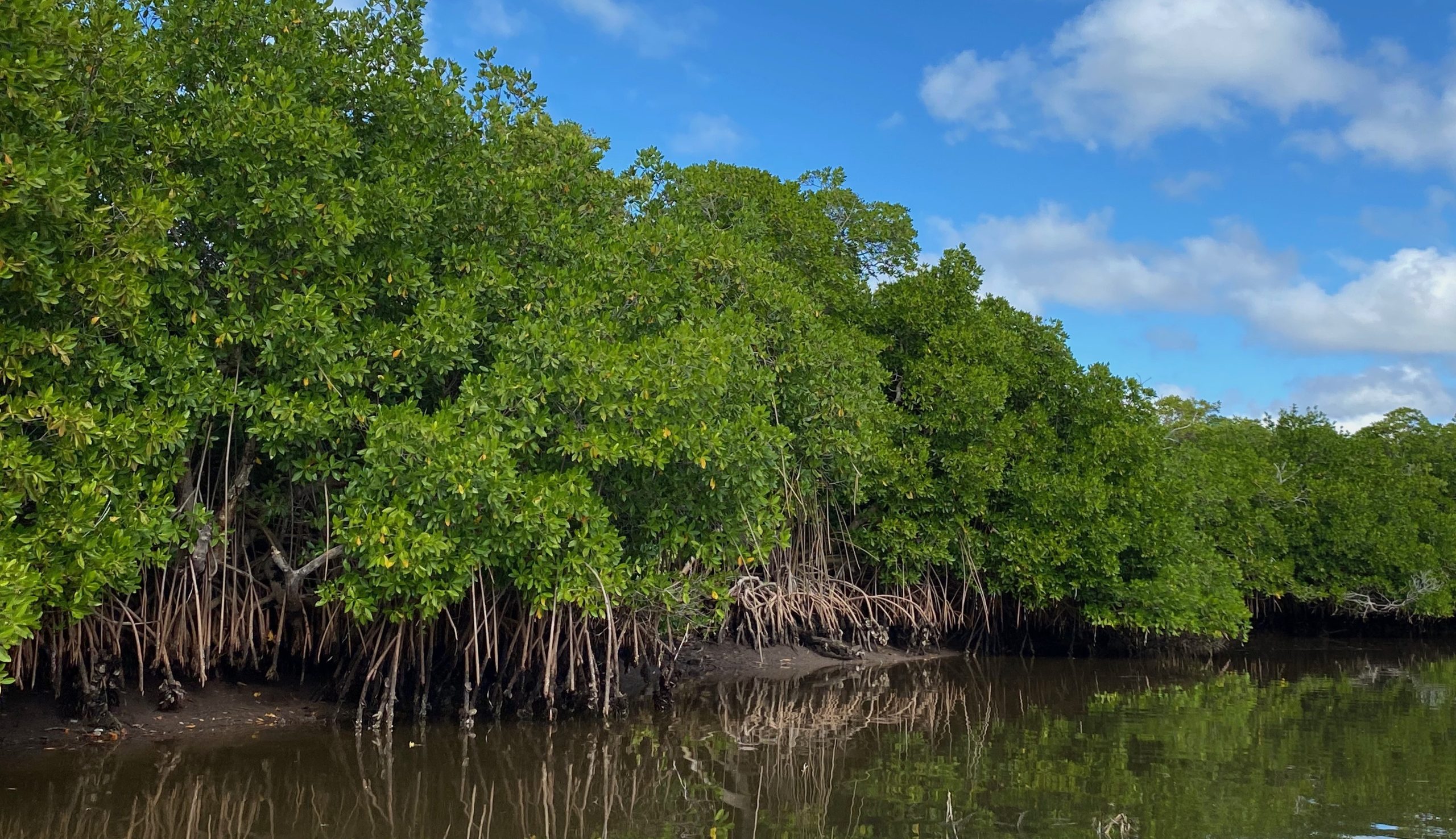 tap7bcrh9imisrfvprsqbyreoybhhscy