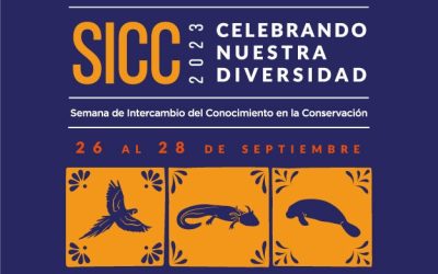 A Celebration of our Diversity: SICC 2023