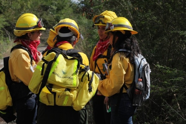 bpgqg3ef9dzf1ak5p9ewprqotoimw6ef