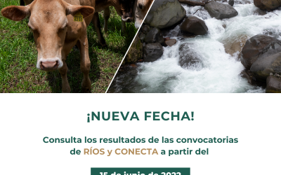 New date! Results of the RÍOS and CONECTA Calls
