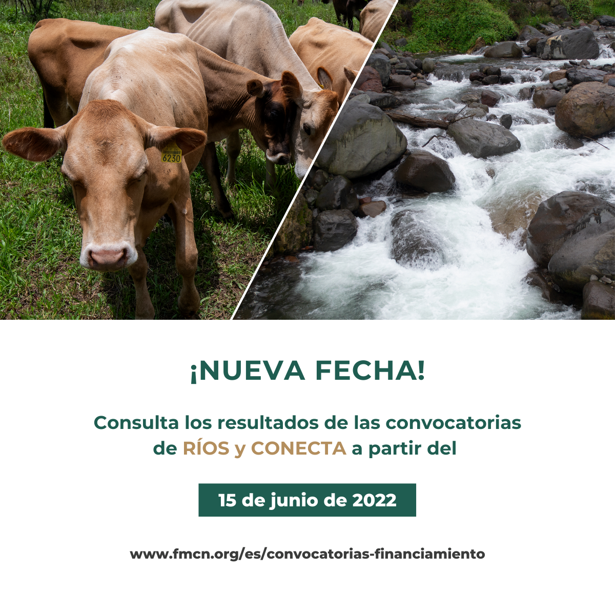 dnpfqn0fnxgvmparvuwcxjmlttpo2pmv