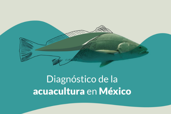 f9p0wuth6ukrypzqqiuv1hehrmwkuuv1