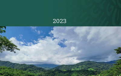 Planes de acción para el manejo integral de cuencas hídricas