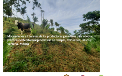 Motivaciones e intereses de los productores ganaderos para adoptar tácticas sostenibles/regenerativas en Chiapas, Chihuahua, Jalisco y Veracruz