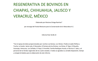 Estimación y análisis de emisiones de gases efecto invernadero en la cadena de valor de la producción ganadera convencional y regenerativa de bovinos en Chiapas, Chihuahua, Jalisco y Veracruz