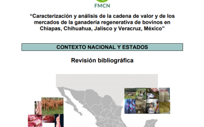 Caracterización y análisis de la cadena de valor y de los mercados de la ganadería regenerativa de bovinos en Chiapas, Chihuahua, Jalisco y Veracruz