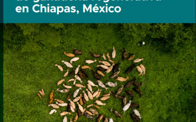 Diagnóstico ambiental y socioeconómico para la implementación de procesos de ganadería regenerativa en Chiapas