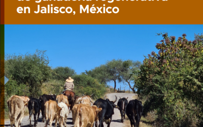 Diagnóstico ambiental y socioeconómico para la implementación de procesos de ganadería regenerativa en Jalisco