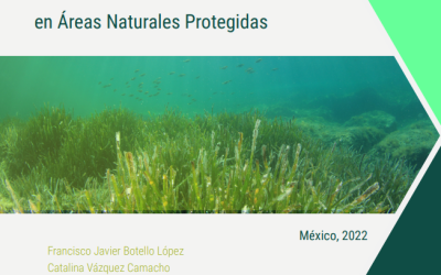 Protocolo para el monitoreo ecosistémico de pastos marinos en Áreas Naturales Protegidas