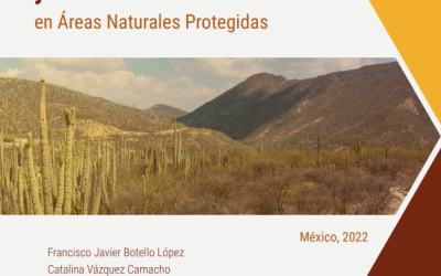 Protocolo para el monitoreo ecosistémico de pastizales, matorrales y zonas áridas en Áreas Naturales Protegidas