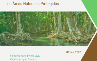 Protocolo para el monitoreo ecosistémico de manglares en Áreas Naturales Protegidas