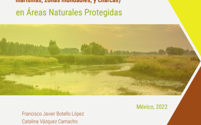 Protocolo para el monitoreo ecosistémico de humedales en Áreas Naturales Protegidas