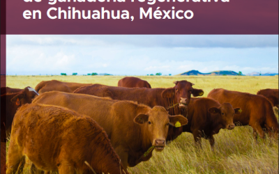 Diagnóstico ambiental y socioeconómico para la implementación de procesos de ganadería regenerativa en Chihuahua