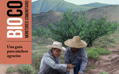 V. BIOCOMUNI: Manual para el monitoreo de la salud del suelo en zonas forestales