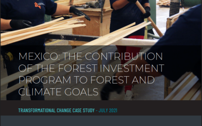 Mexico: The Contribution of the Forest Investment Program to Forest and Climate Goals