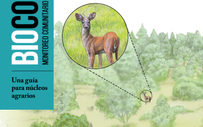 II. BIOCOMUNI: Monitoreo comunitario de la biodiversidad