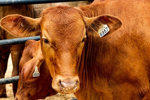 ao6kphp3va5ayujdijku0kf6nyrbt2kb