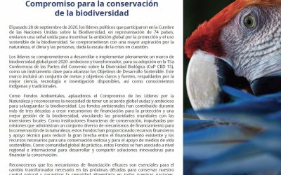 Fondos ambientales del mundo se comprometen a apoyar las metas de conservación del Compromiso de Líderes por la Naturaleza
