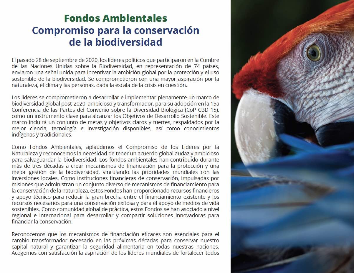 br4xj0qdkb2gjjyffadiglu7rgthz9os