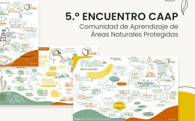 5.º Encuentro CAAP