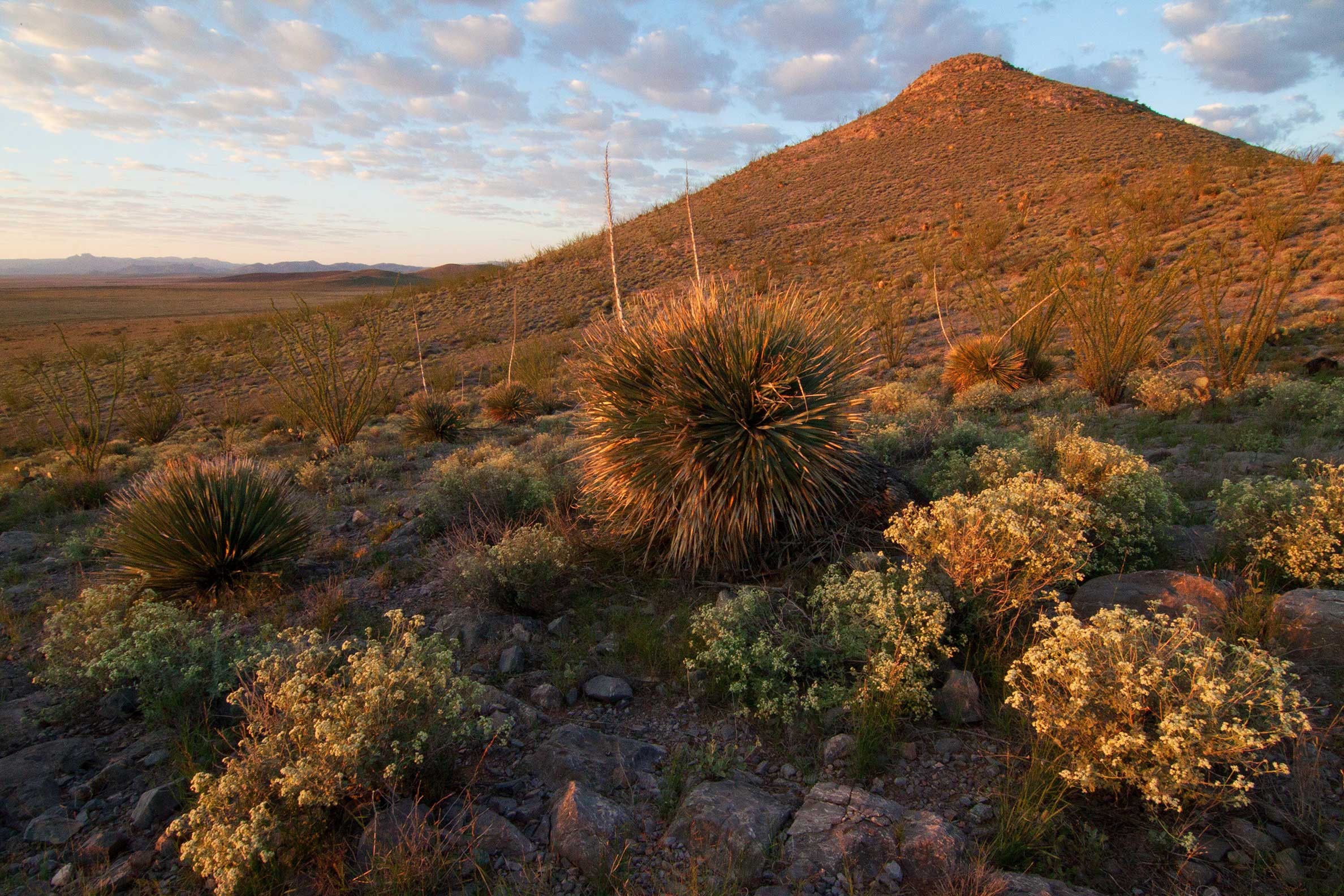 fn6xijs6c5qotvmatjrq9om2d3nk74at