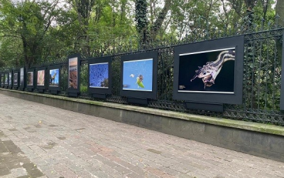 Las mejores fotografías de naturaleza mexicana se exhiben en las rejas de Chapultepec