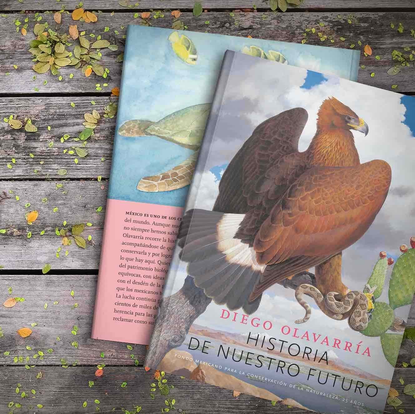 hsahb7u6zqfbc1kpczxwjgofincufxbi