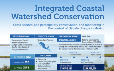 The GEF features C6 in its Good Practice Brief