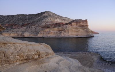 Convocatorias en un año complicado