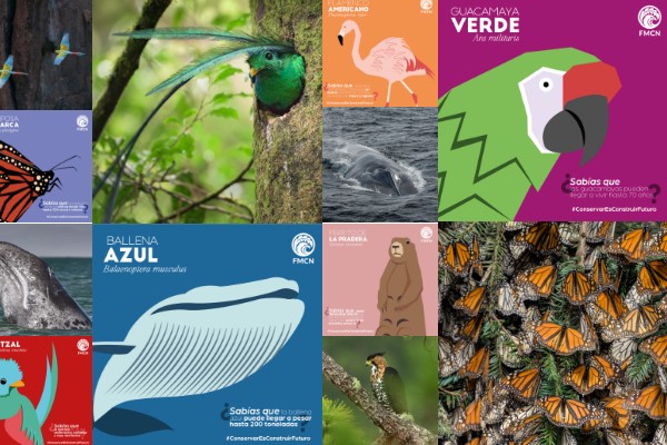 odgurg6shx390hbdv1jiogce8vkhbwxl