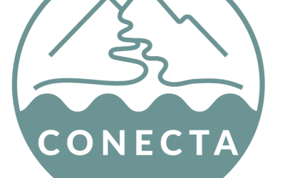 Nuevo proyecto: CONECTA