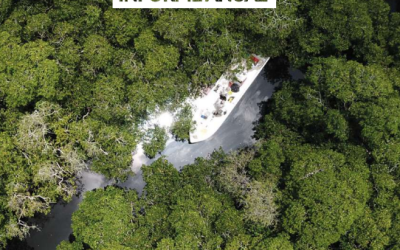 Our 2022 Annual Report: A Year of Impact and Commitment to Conservation