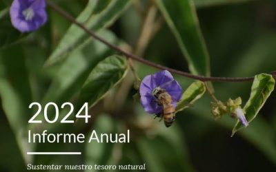 Three Decades Sustaining Our Natural Treasure: 2024 Annual Report