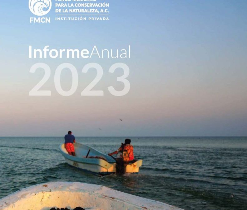 Un viaje por la innovación y la sinergia: Informe Anual 2023