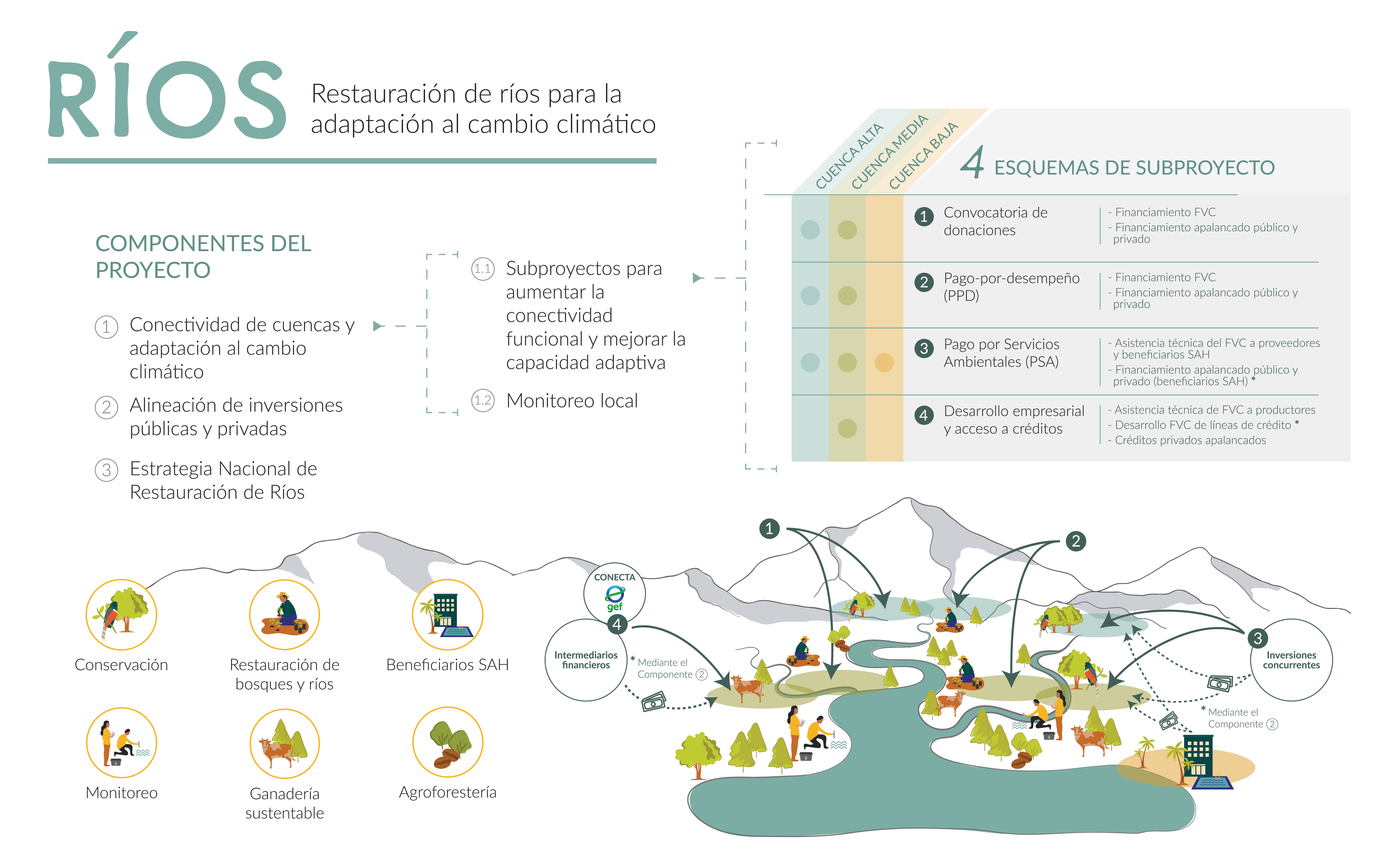 descarga (1)