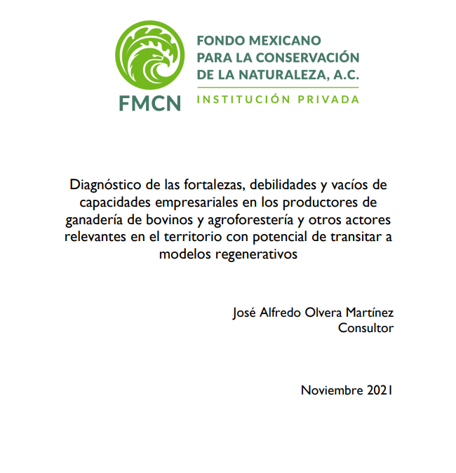 Diagnóstico de las fortalezas, debilidades y vacíos de capacidades empresariales en los productores de ganadería de bovinos y agroforestería y otros actores relevantes en el territorio con potencial de transitar a modelos regenerativos