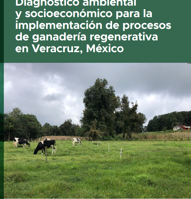 Diagnóstico ambiental y socioeconómico para la implementación de procesos de ganadería regenerativa en Veracruz