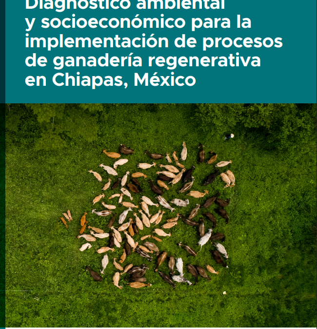 Diagnóstico ambiental y socioeconómico para la implementación de procesos de ganadería regenerativa en Chiapas