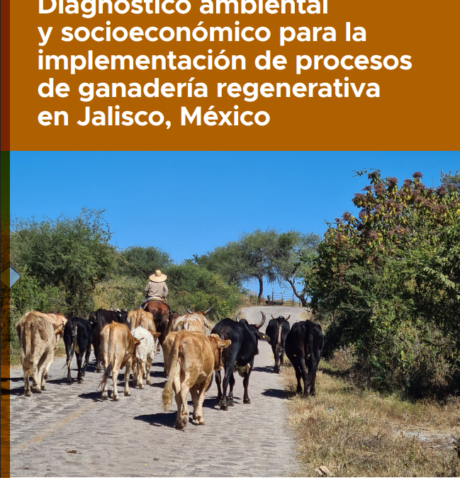 Diagnóstico ambiental y socioeconómico para la implementación de procesos de ganadería regenerativa en Jalisco