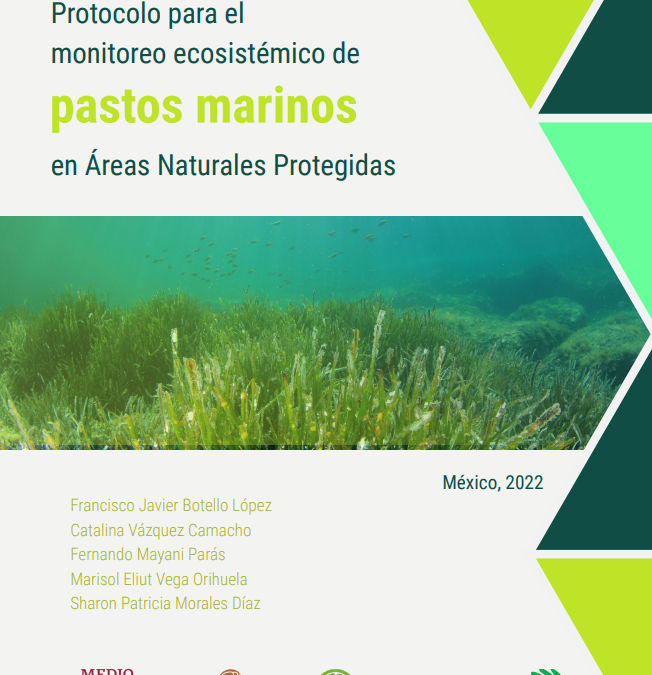 Protocolo para el monitoreo ecosistémico de pastos marinos en Áreas Naturales Protegidas