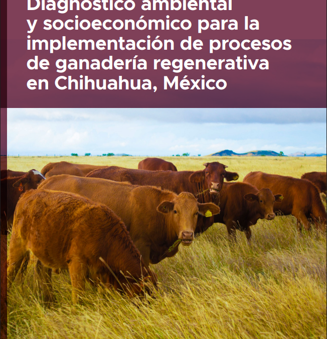 Diagnóstico ambiental y socioeconómico para la implementación de procesos de ganadería regenerativa en Chihuahua
