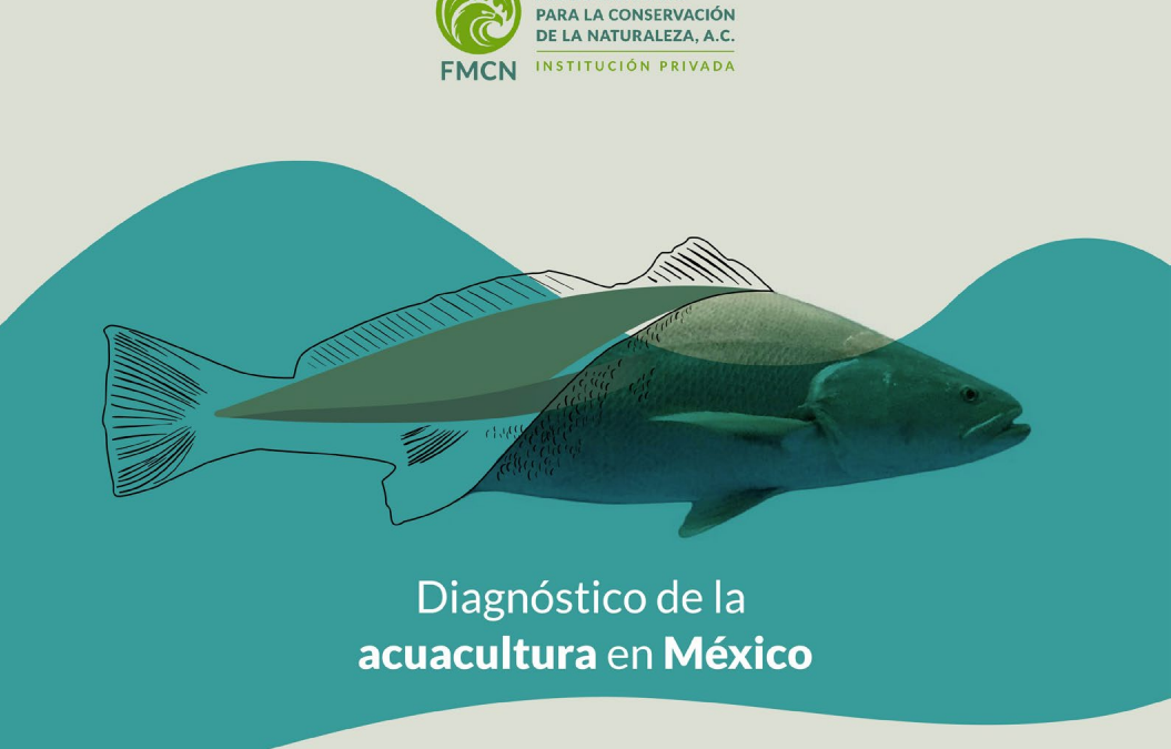 Diagnóstico de la acuacultura en México