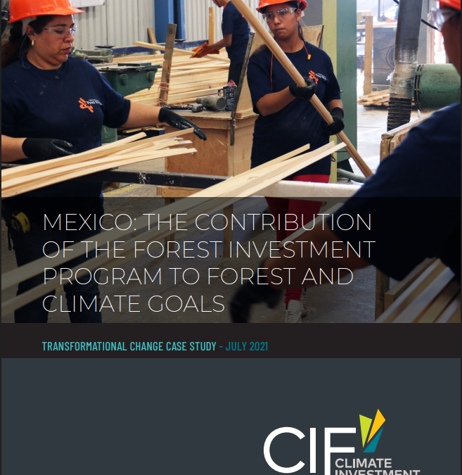 Mexico: The Contribution of the Forest Investment Program to Forest and Climate Goals