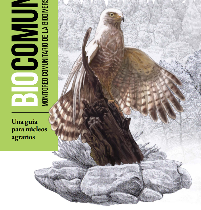I.BIOCOMONI: Monitoreo comunitario de la biodiversidad