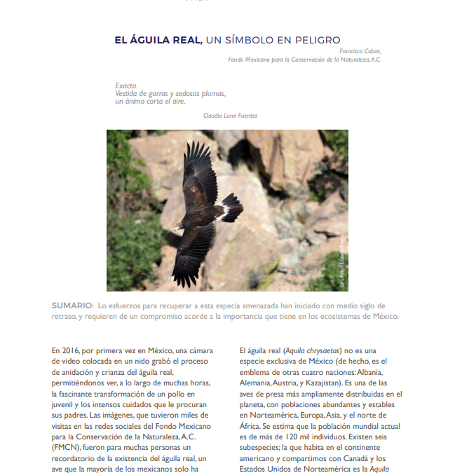 El Águila Real