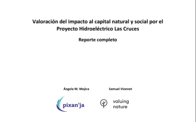 Reporte Las Cruces