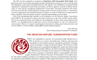 GEF lesson notes, 1999