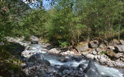 Día Mundial del Medio Ambiente