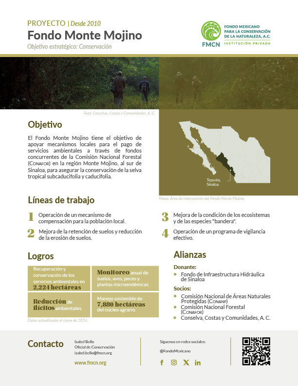 2025_MONTE-MOJINO_ES